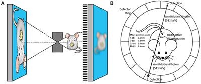 Perspectives on Small Animal Radionuclide Imaging; Considerations and Advances in Atherosclerosis